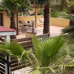 Casa Delle Palme Apartment